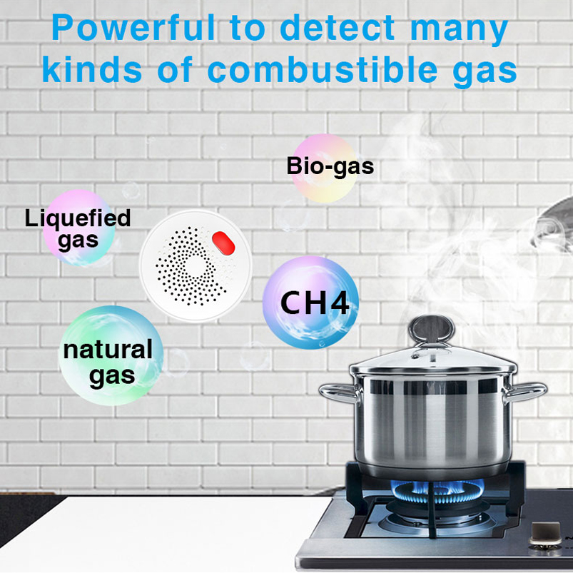 Czujnik gazu ziemnego Tuya Sma – Home Security Gadgets recenzja i cena