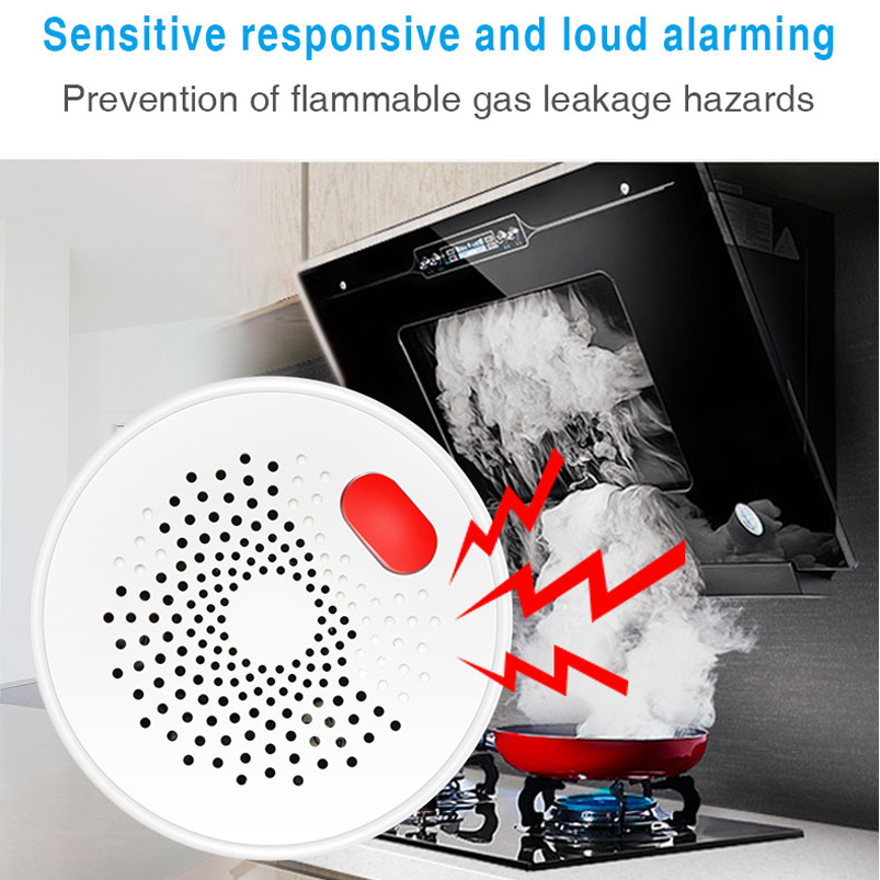 Czujnik gazu ziemnego Tuya Sma – Home Security Gadgets recenzja i cena