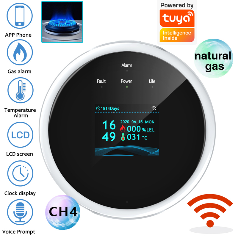Czujnik gazu 2.4G WiFi, detekt – Home Security Gadgets recenzja i cena