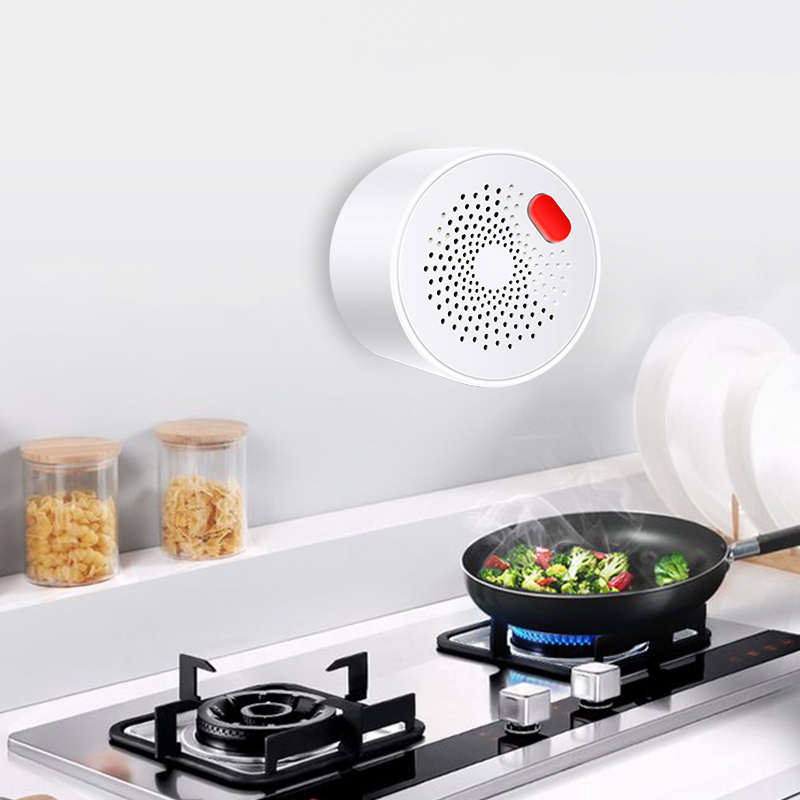 Tuya Smart Home Wifi naturalny – Home Security Gadgets recenzja i cena