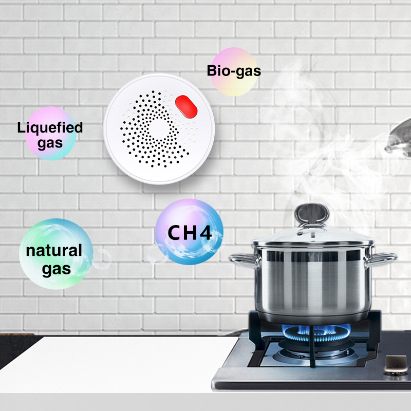 Tuya Smart Home Wifi naturalny – Home Security Gadgets recenzja i cena