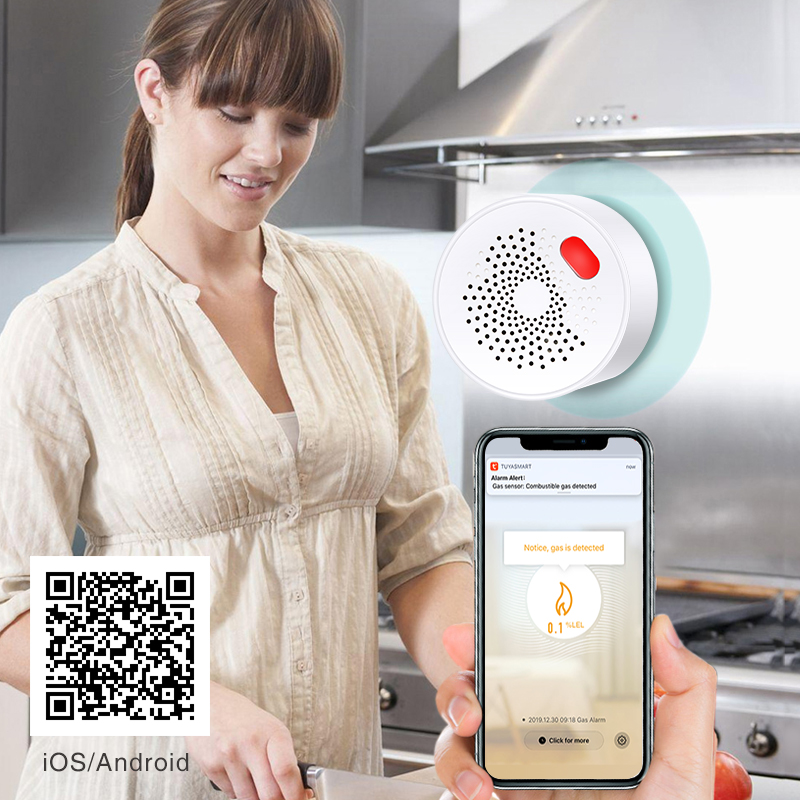 Tuya Smart Home Wifi naturalny – Home Security Gadgets recenzja i cena